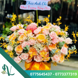 Chúc mừng – LV15