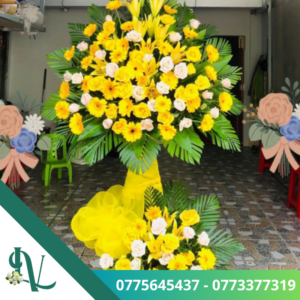 Hoa chúc mừng – LV27