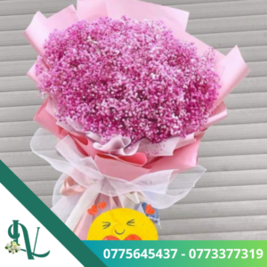 Baby hồng – LV56
